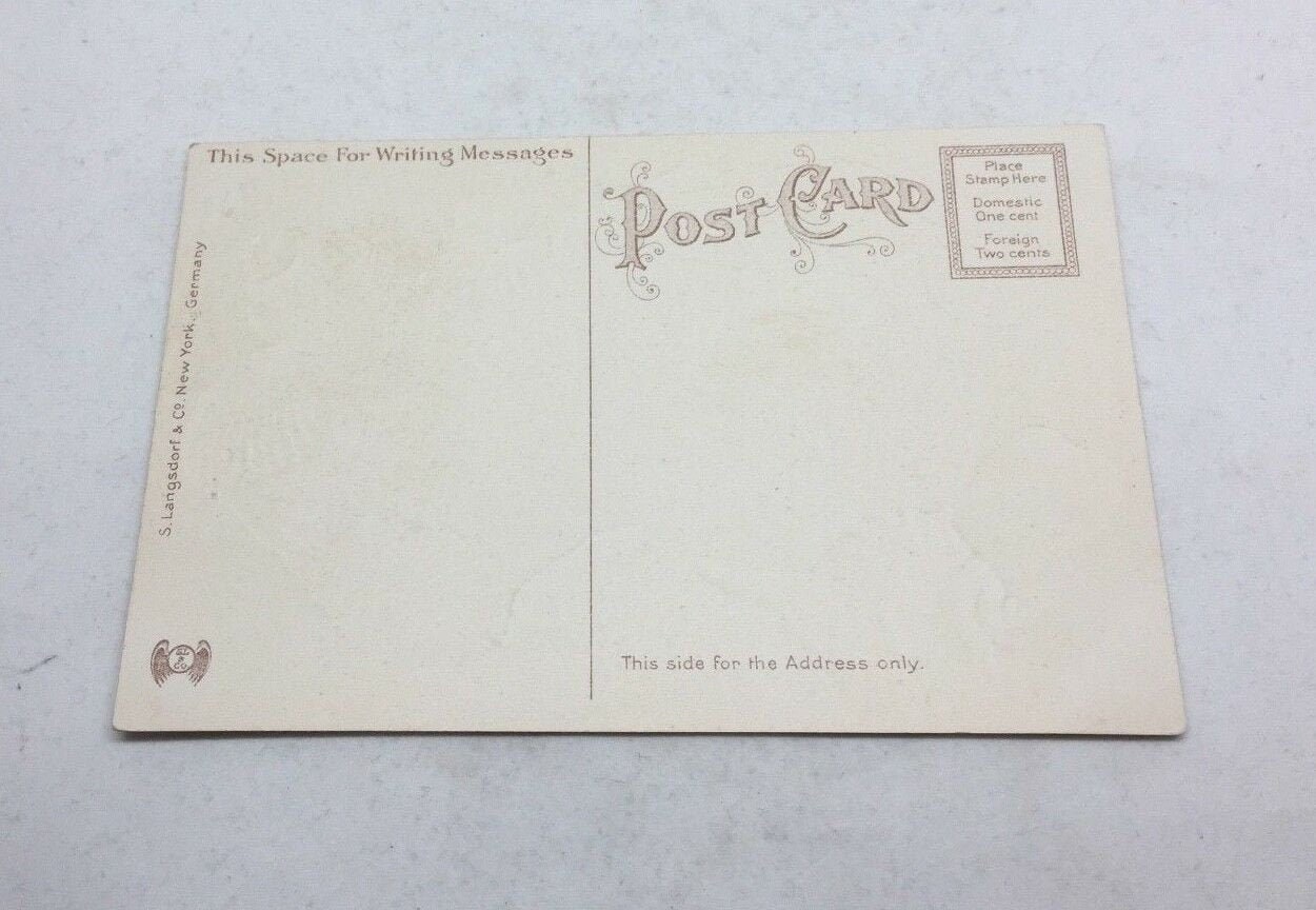 Rare 1900s Embossed St. Mary's Star Of The Sea Vintage Postcard