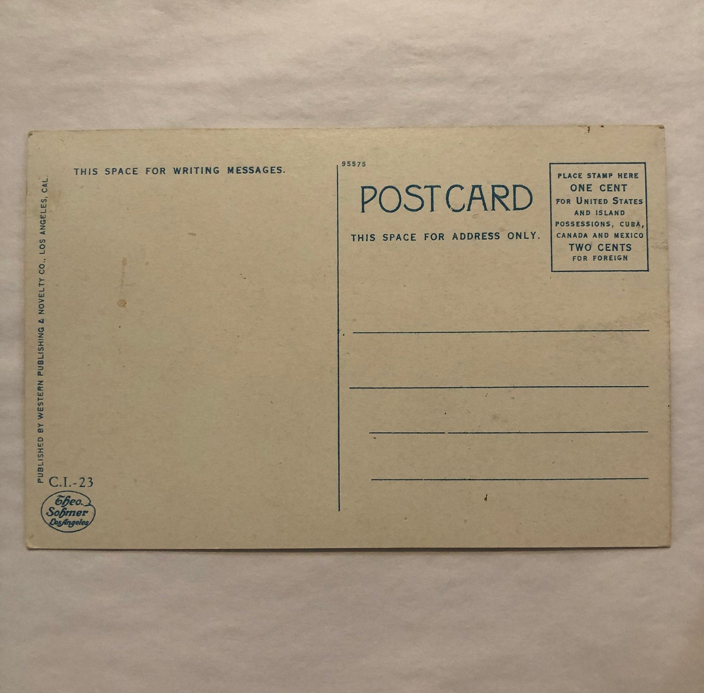 Catalina Island, California - Vintage Postcard
