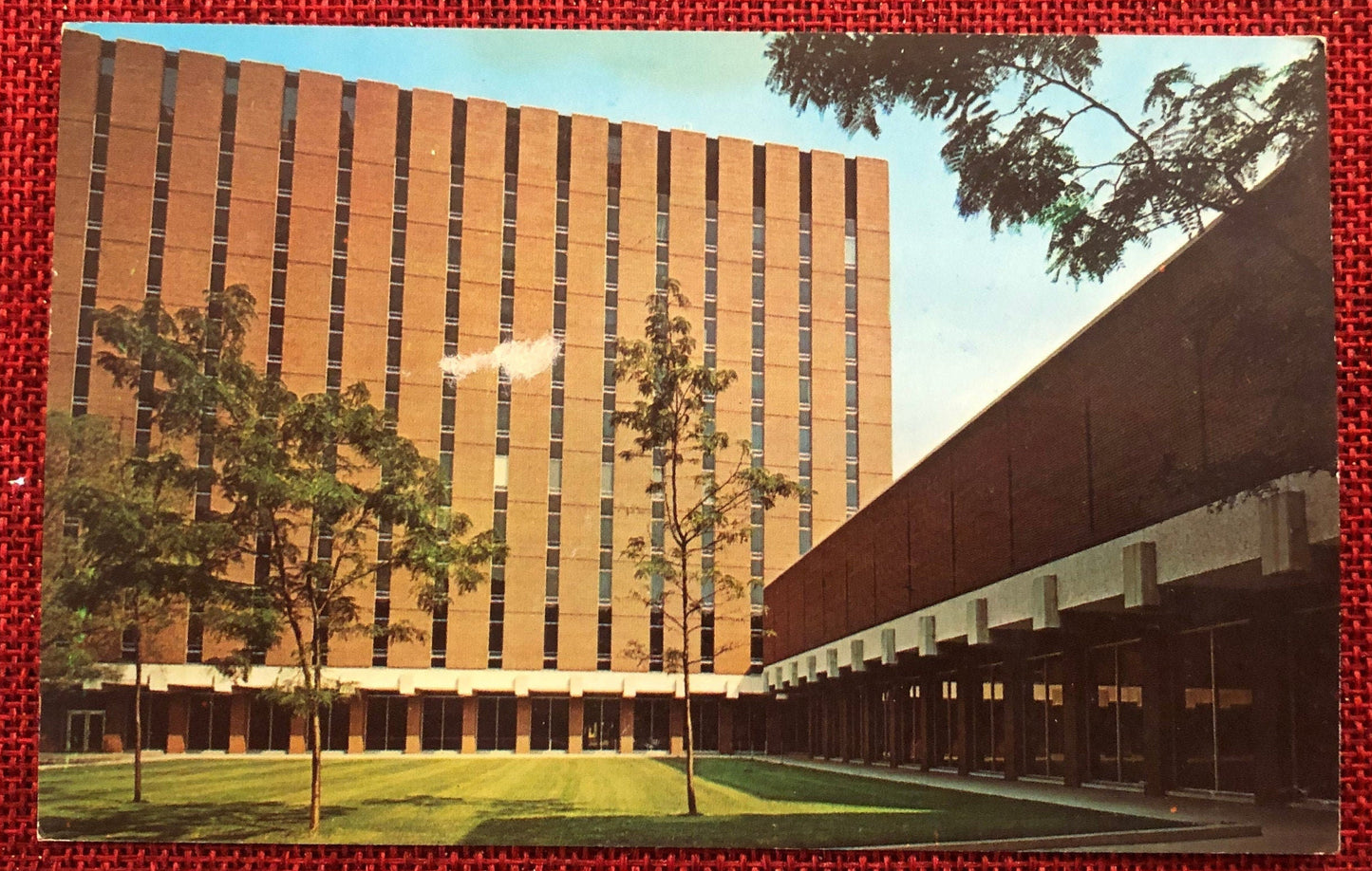 University of Michigan Physics and Astronomy Building - Vintage Postcard