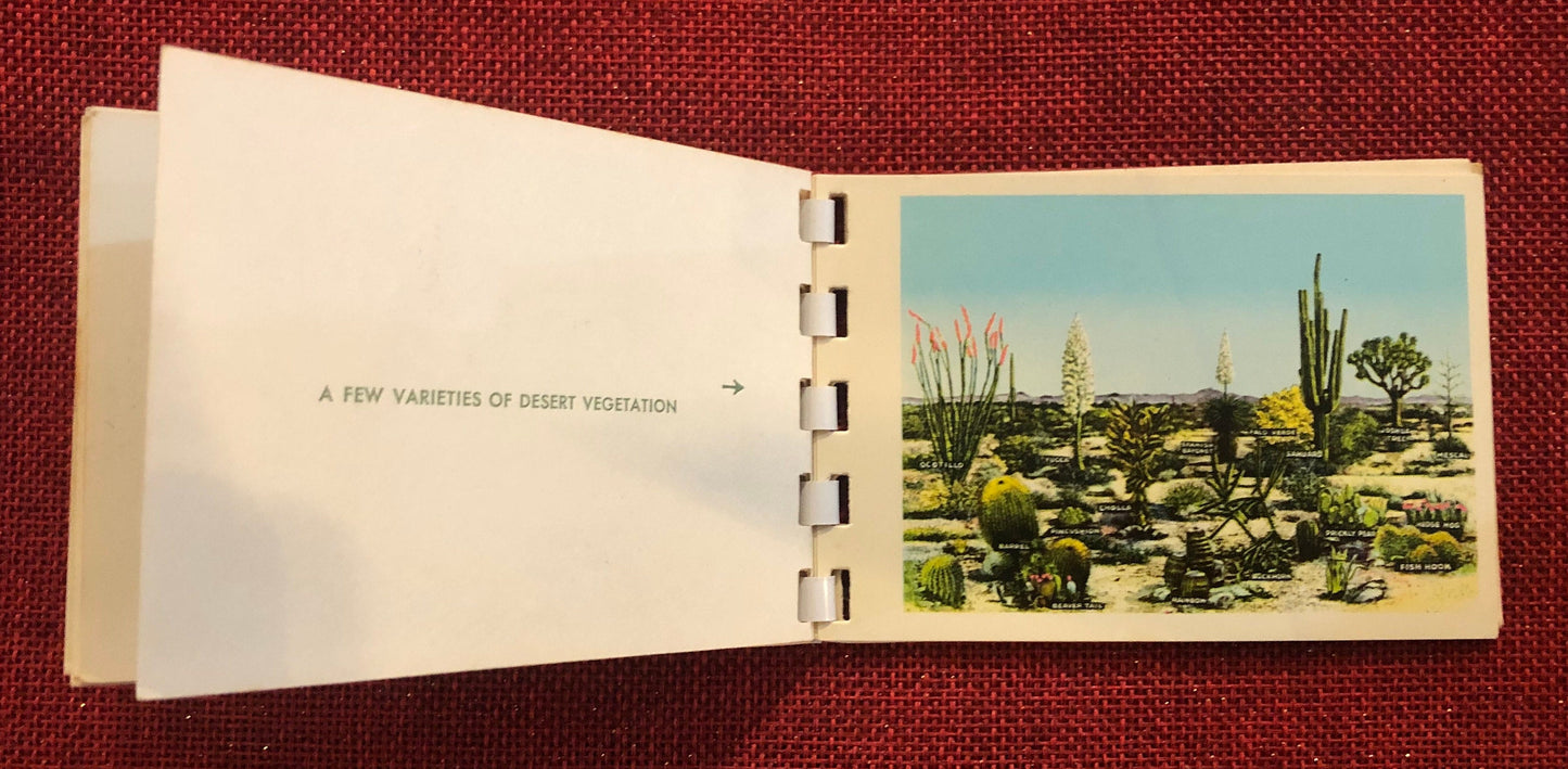 Southern California in Natural Color 10 Kodachrome Reproductions Flip Book
