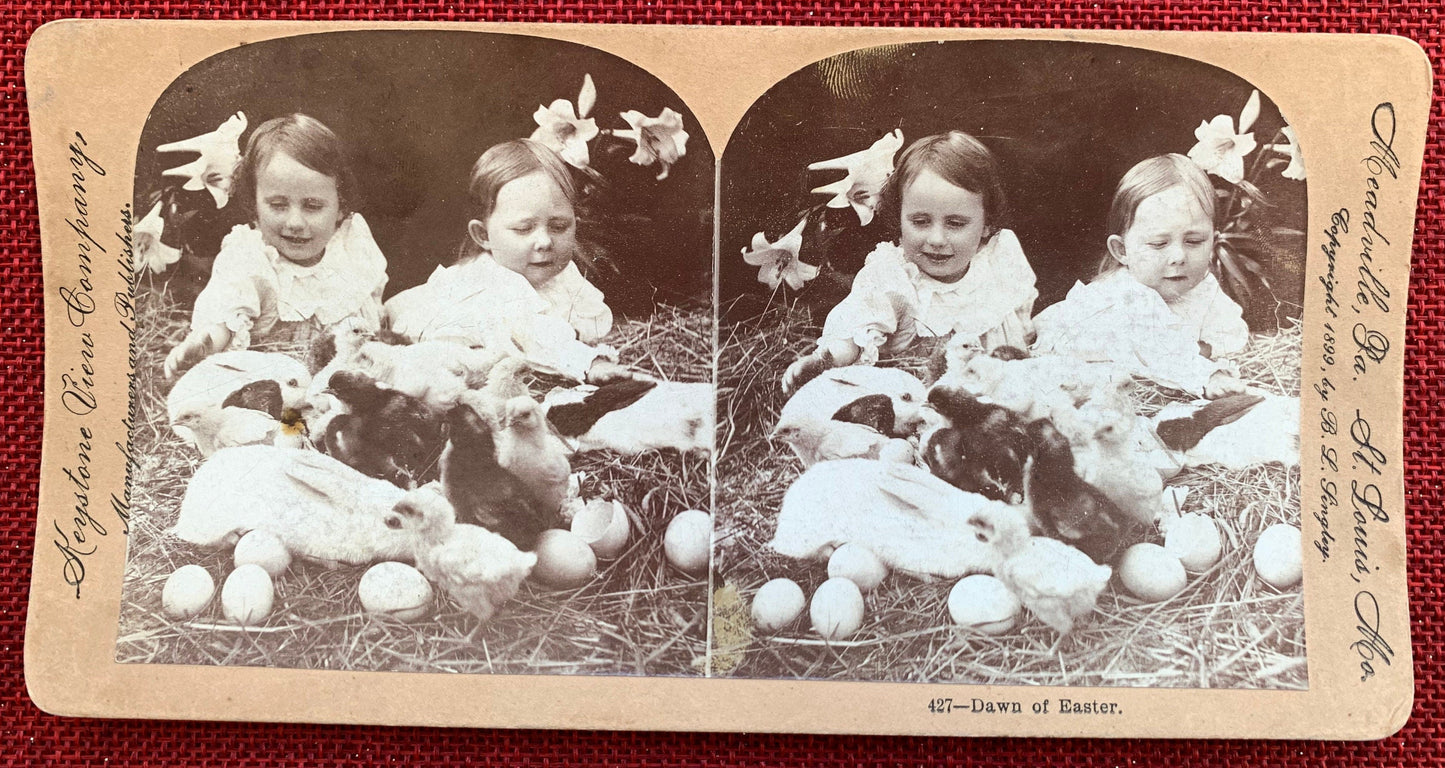 Dawn of Easter - Vintage Stereo View Card - 1899 - Two Children With Bunnies and Ducks