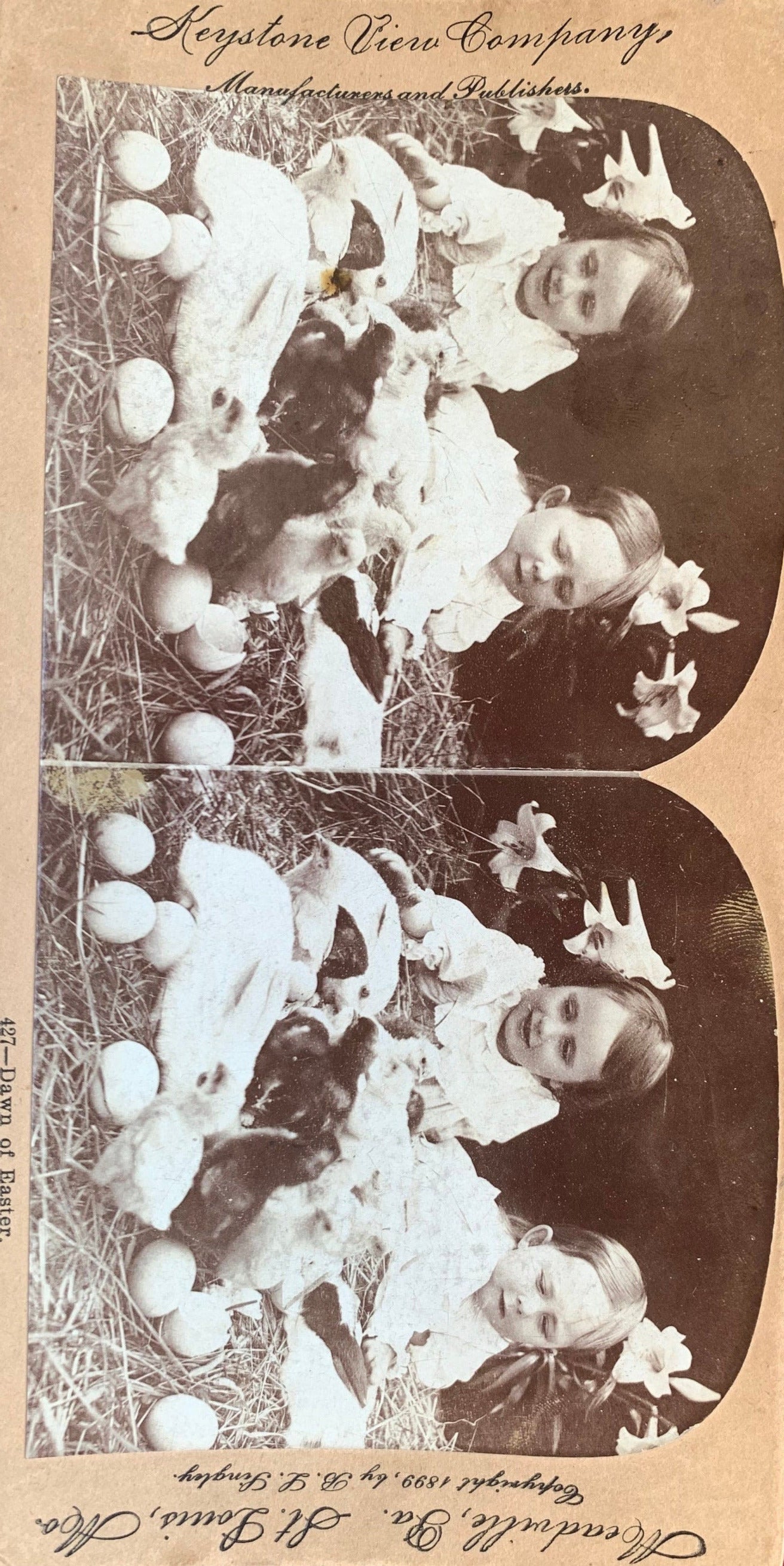Dawn of Easter - Vintage Stereo View Card - 1899 - Two Children With Bunnies and Ducks