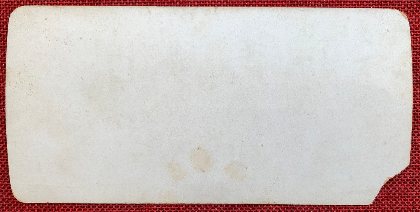 Did Doctor Bring Baby In That? - Vintage Stereo View Card - Late 1800s - Little Girl Looking at New Baby