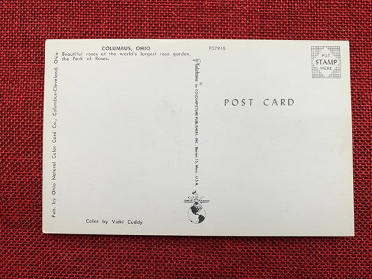 This postcard features a beautiful wall of roses at the Park of Roses in Columbus, Ohio. Back Text: