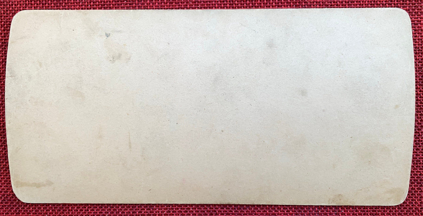 Dawn of Easter - Vintage Stereo View Card - 1899 - Two Children With Bunnies and Ducks