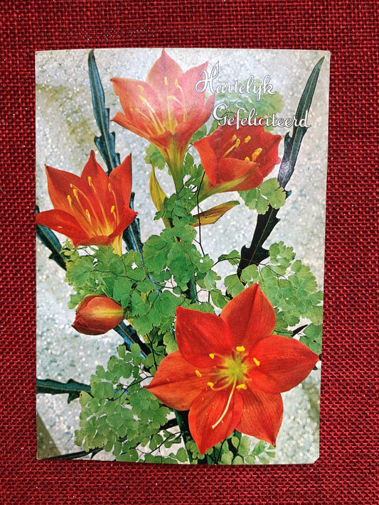 Dutch Congratulations - Vintage Postcard 1960s