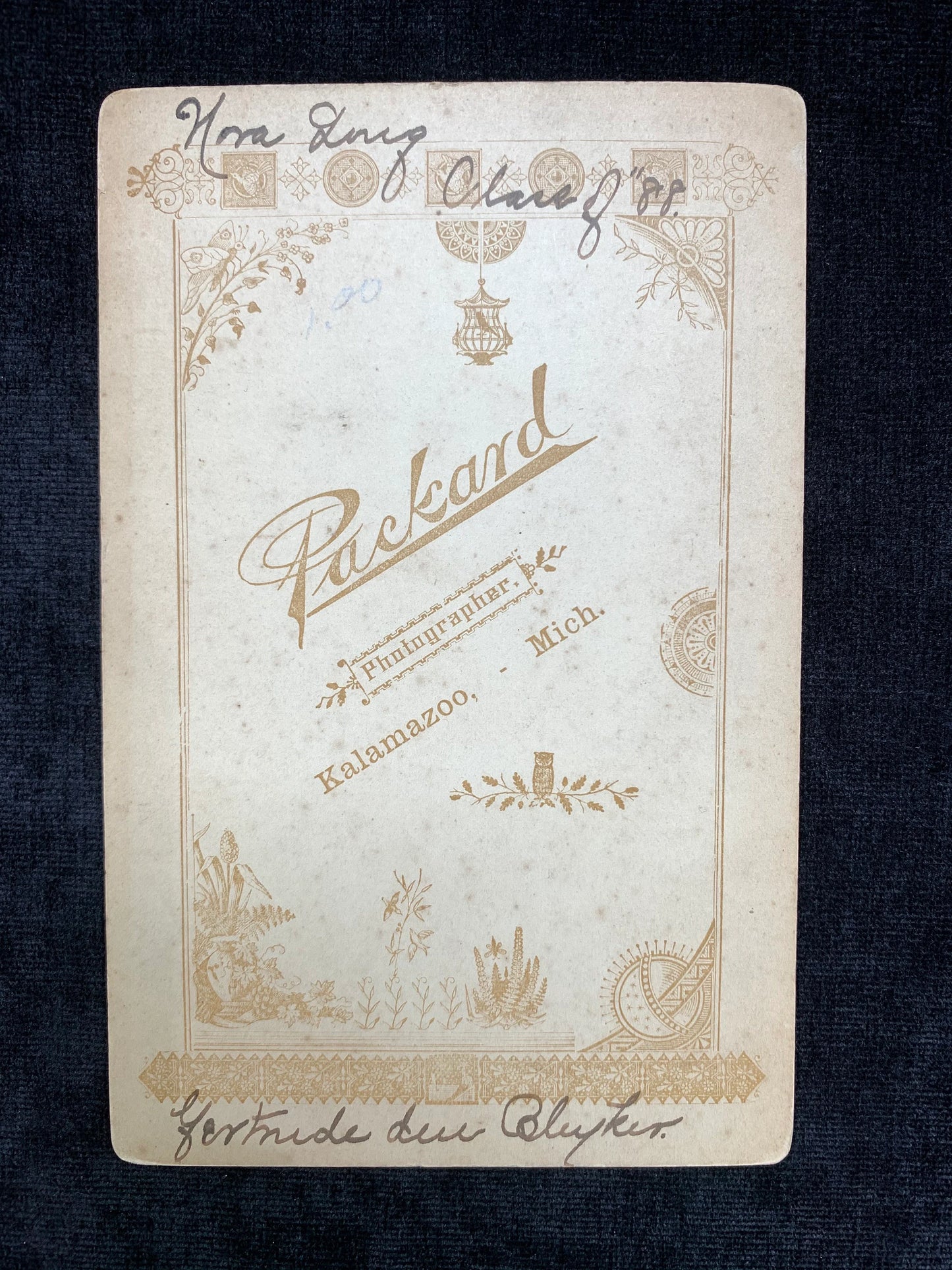 Victorian Era Graduation Portrait of a Woman, Class of 1888 Kalamazoo Michigan By Packcard Studio