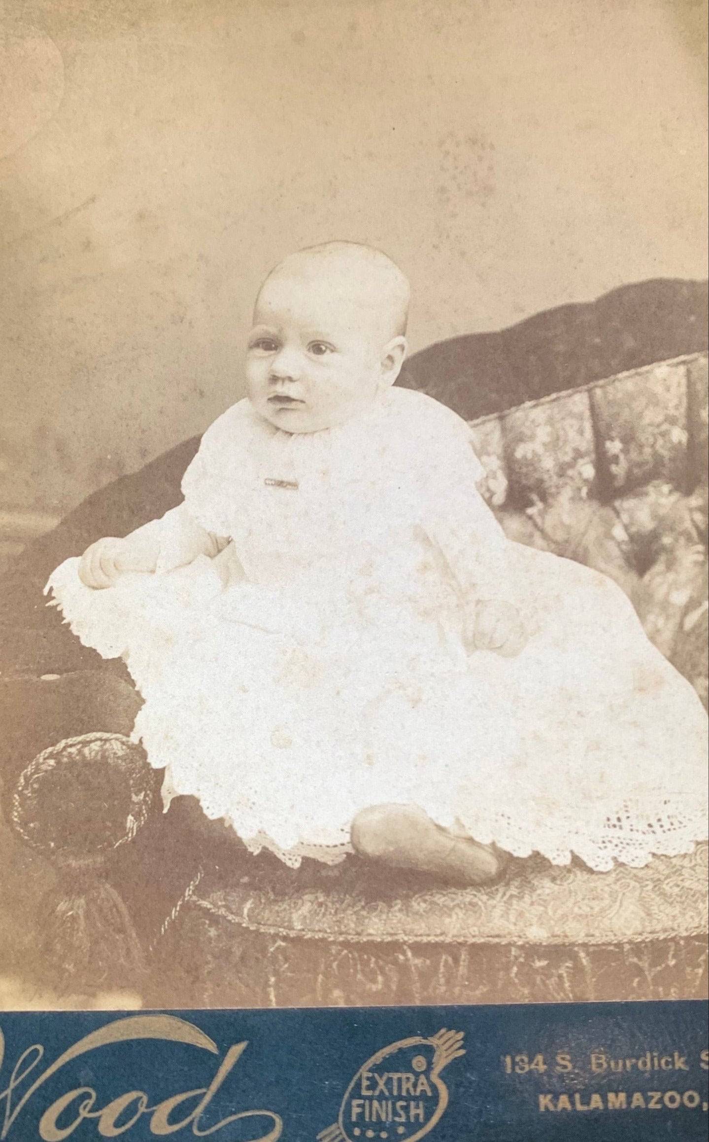 Victorian Era Portrait of a Baby Posed on a Couch, Kalamazoo Michigan Woods Studio 1896-1897