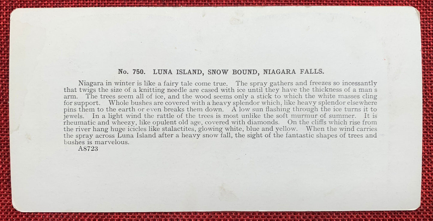 Luna Island - Niagara Falls in Winter - Late 1800s Stereo View Card