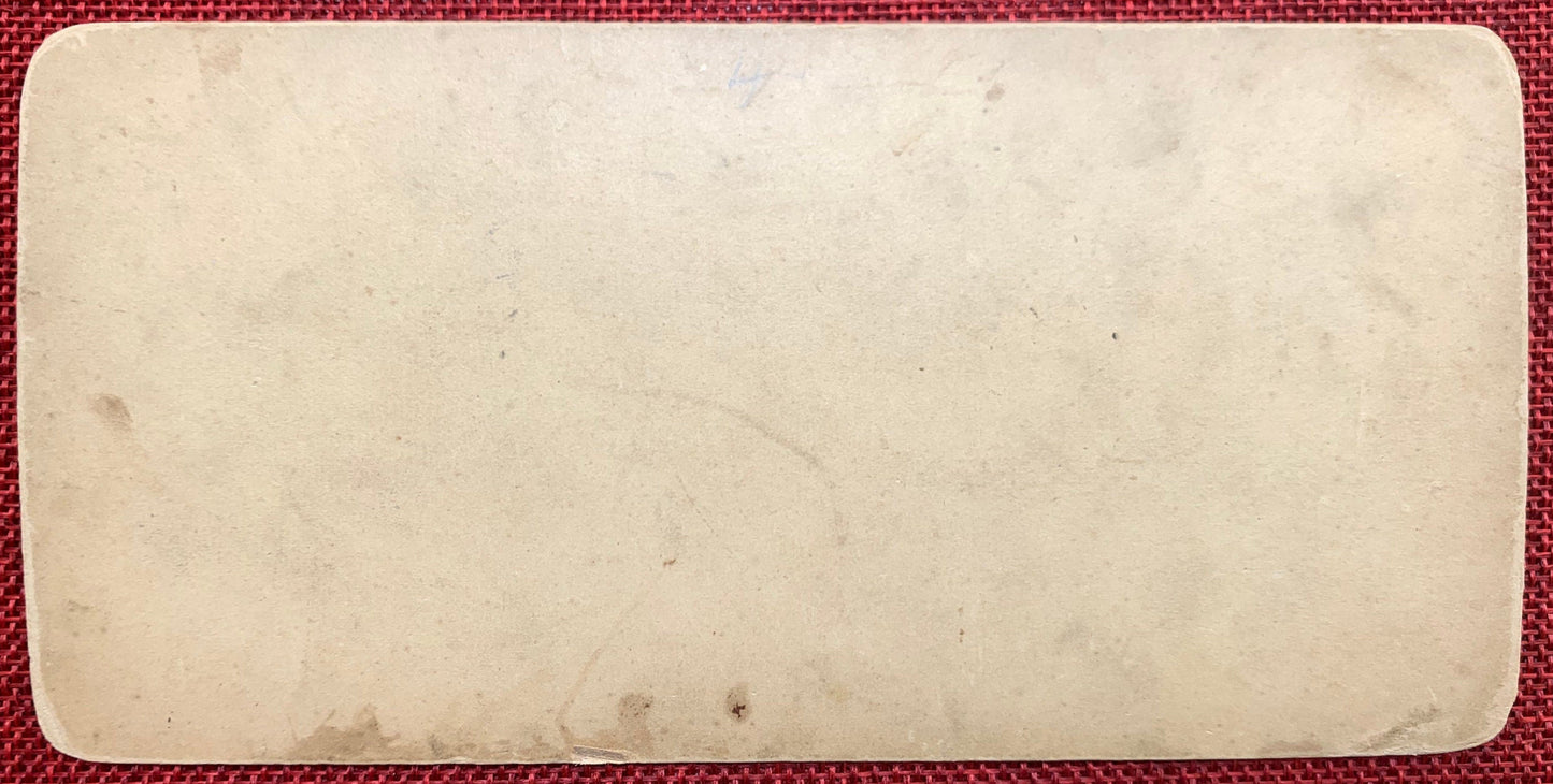 Watkins Glen on the Line of the Erie Railway - Mid to Late 1800s Stereo Card