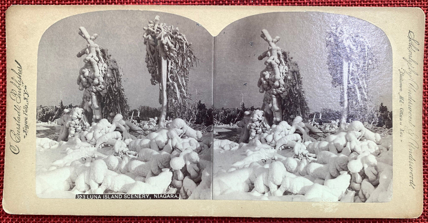 Luna Island Scenery - Niagara Falls, New York - Vintage Stereo View Card - 1860s