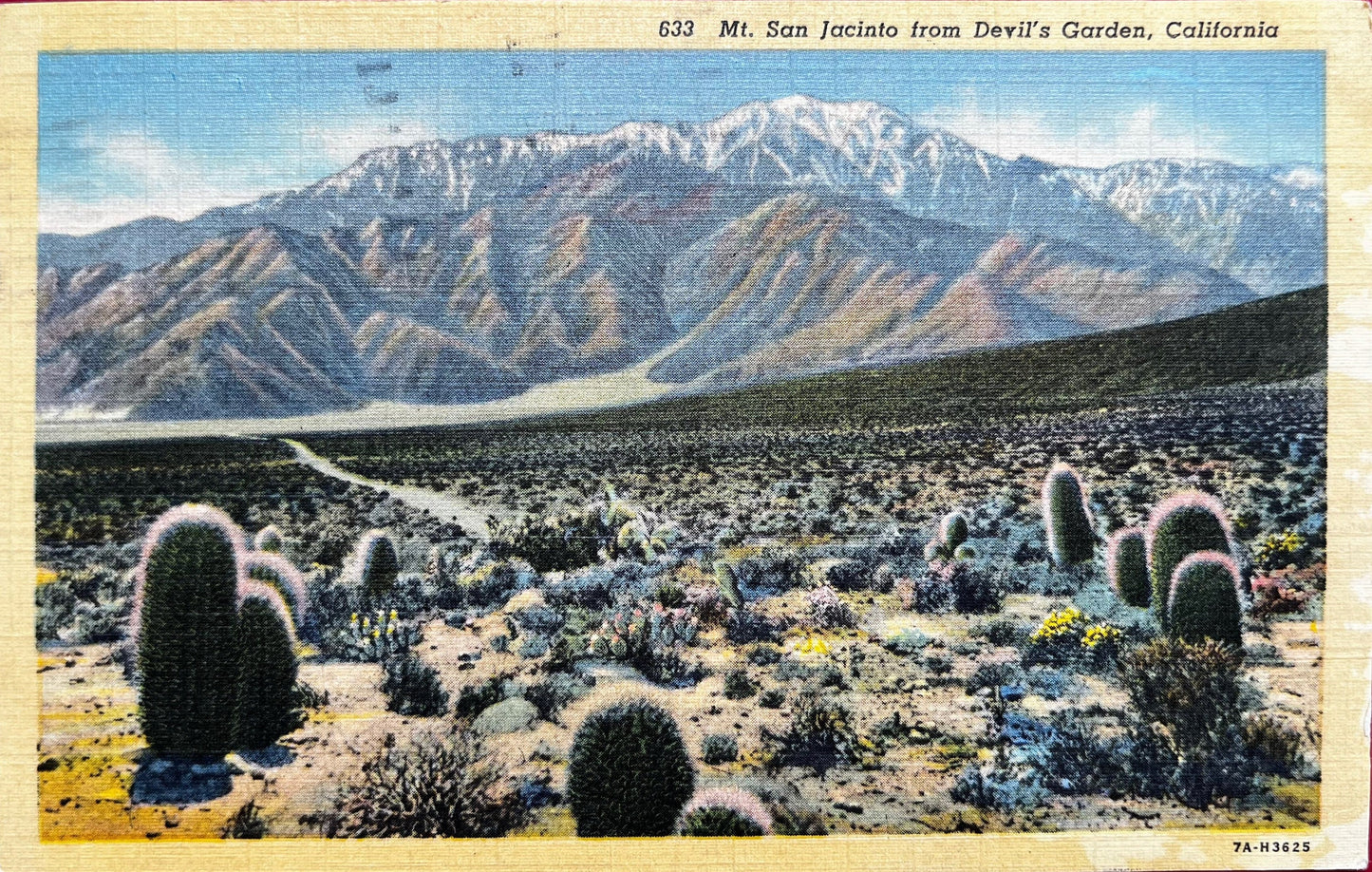 Mt. San Jacinto from Devil's Garden, California - Vintage Linen Postcard 1930s