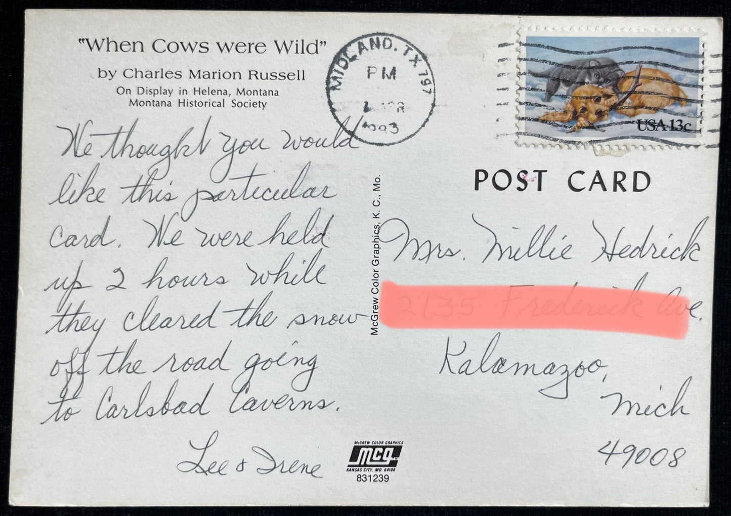 When Cows Were Wild, Charles Russel Art - Retro Postcard 1980s