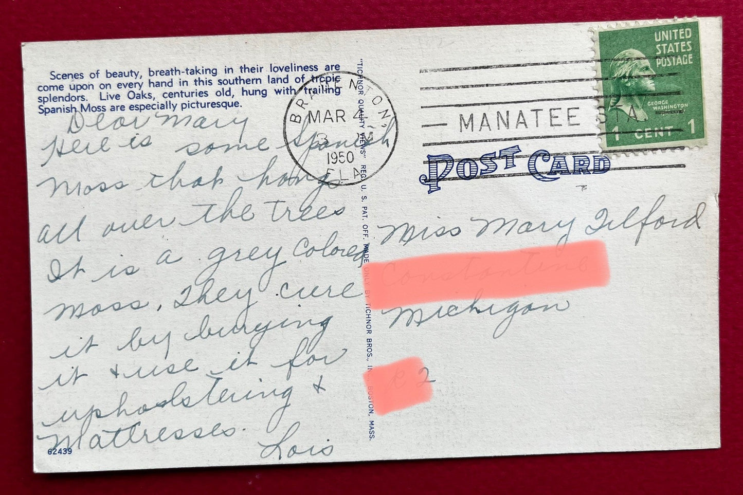 An Age-Old Monarch of the South 121, Bradenton, Florida - Linen Postcard