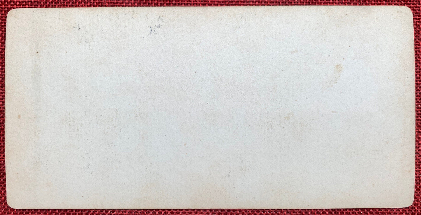 St. Louis World's Fair 1904 Set of 2 Stereo View Cards