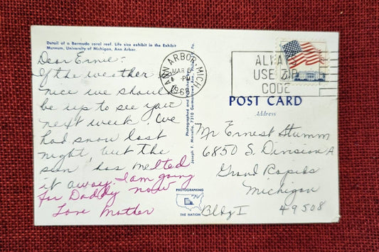 University of Michigan Exhibit Museum Bermuda Coral Reef Vintage Postcard