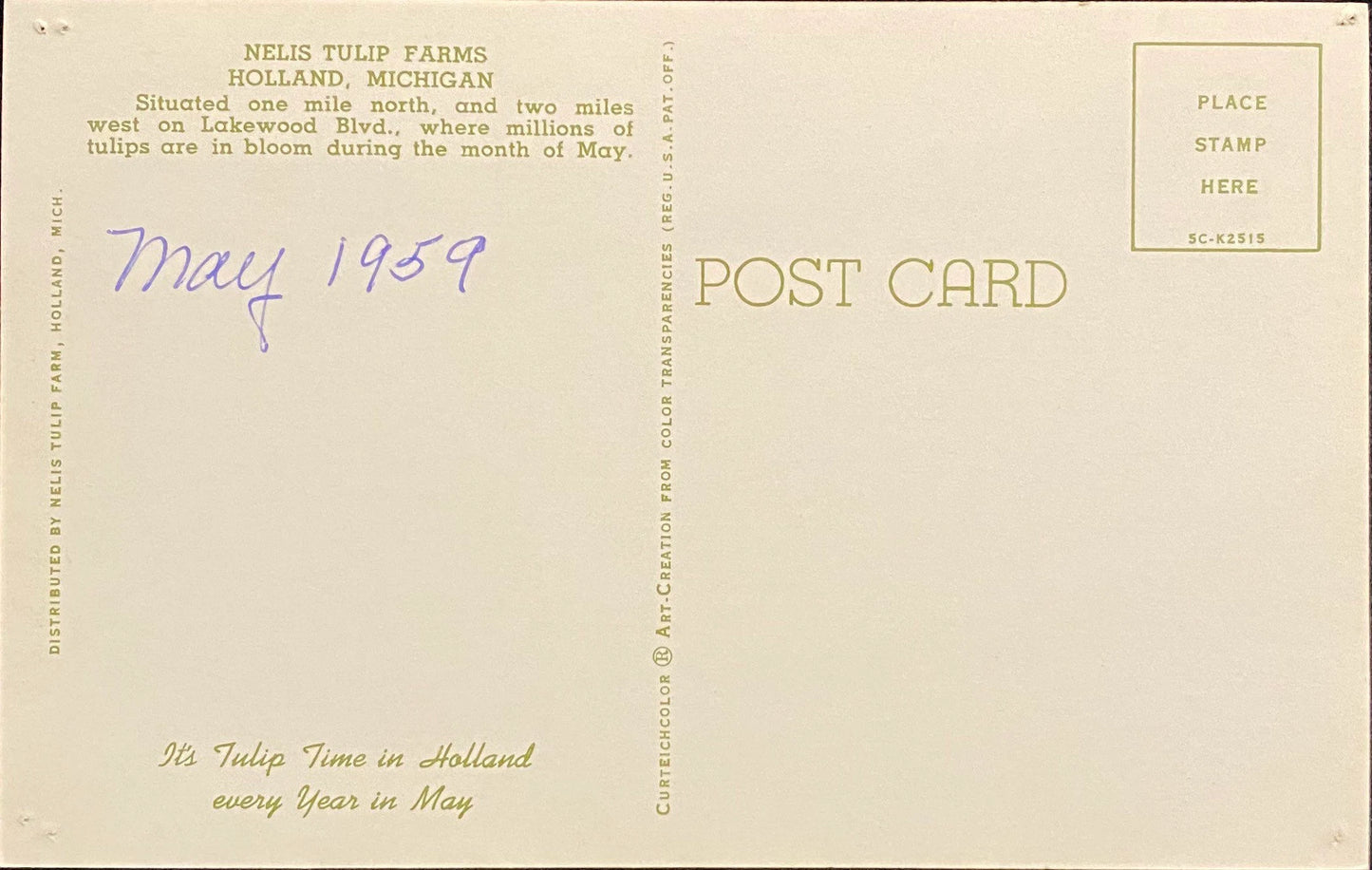 Nelis Tulip farms Holland, Michigan - 1955 Vintage Postcard