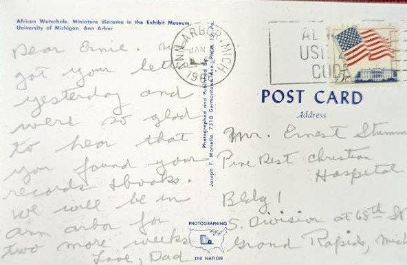 University of Michigan Museum African Waterhole, Ann Arbor, Michigan MI Vintage Postcard