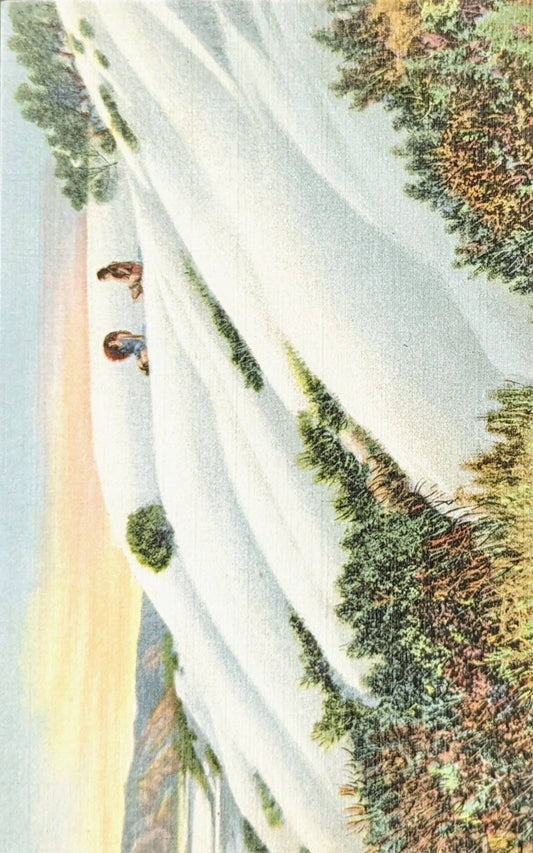 The Great White Sands, A National Monument Near Alamogordo, New Mexico - Vintage Postcard
