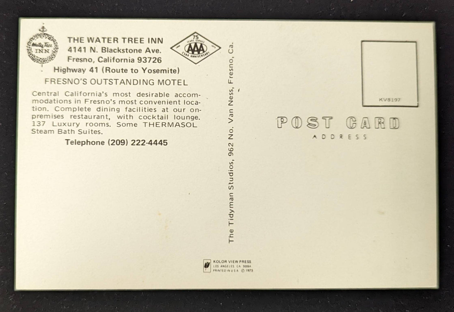 The Water Tree - Fresno, California - Vintage Postcard