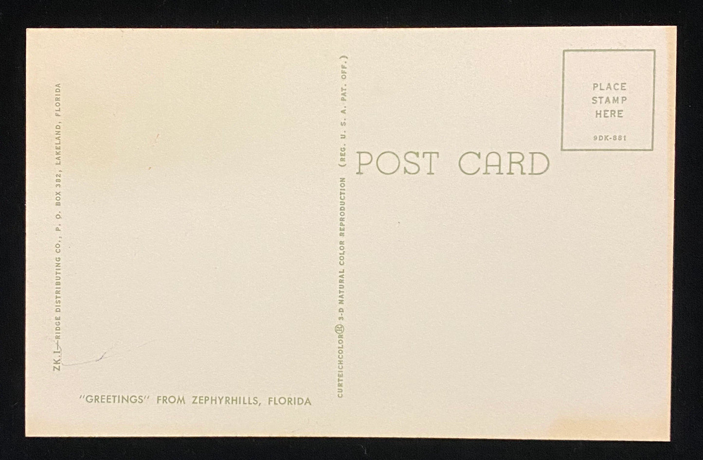 Greetings from Zephyrhills, Florida - Vintage Postcard