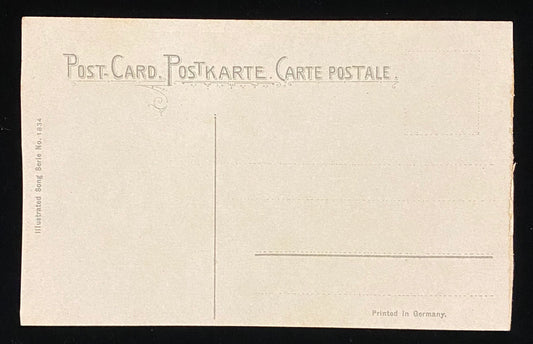Witte Museum - Brackenridge Park, San Antonio, Texas - Color: L. E. Orr - Vintage Museum Postcard
