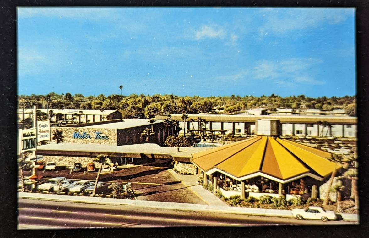 The Water Tree - Fresno, California - Vintage Postcard