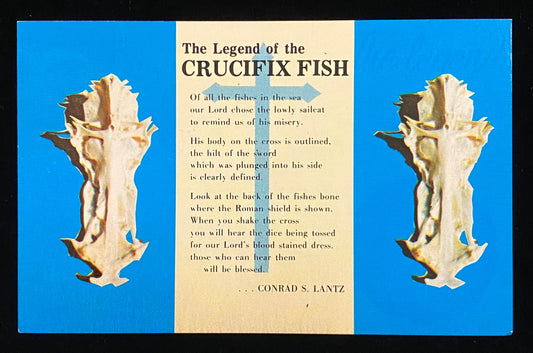 Legend of the Crucifix Fish - Vintage Religious Postcard