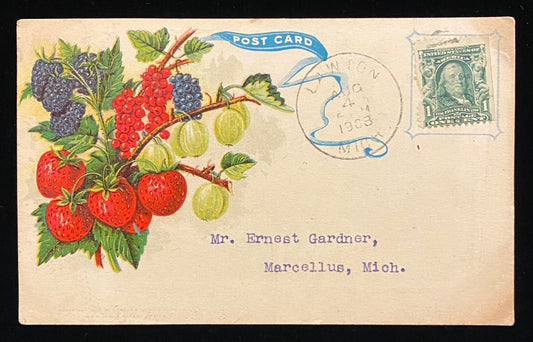 1908 Postcard to Mr. Ernest Gardner - Marcellus, Mich. - Michigan Fruit Exchange, Marketing Information- Vintage Postcard