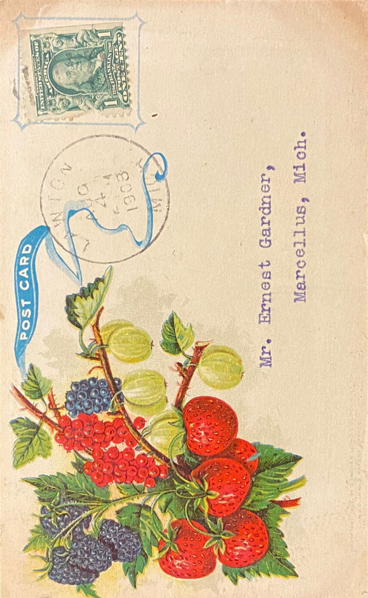 1908 Postcard to Mr. Ernest Gardner - Marcellus, Mich. - Michigan Fruit Exchange, Marketing Information- Vintage Postcard