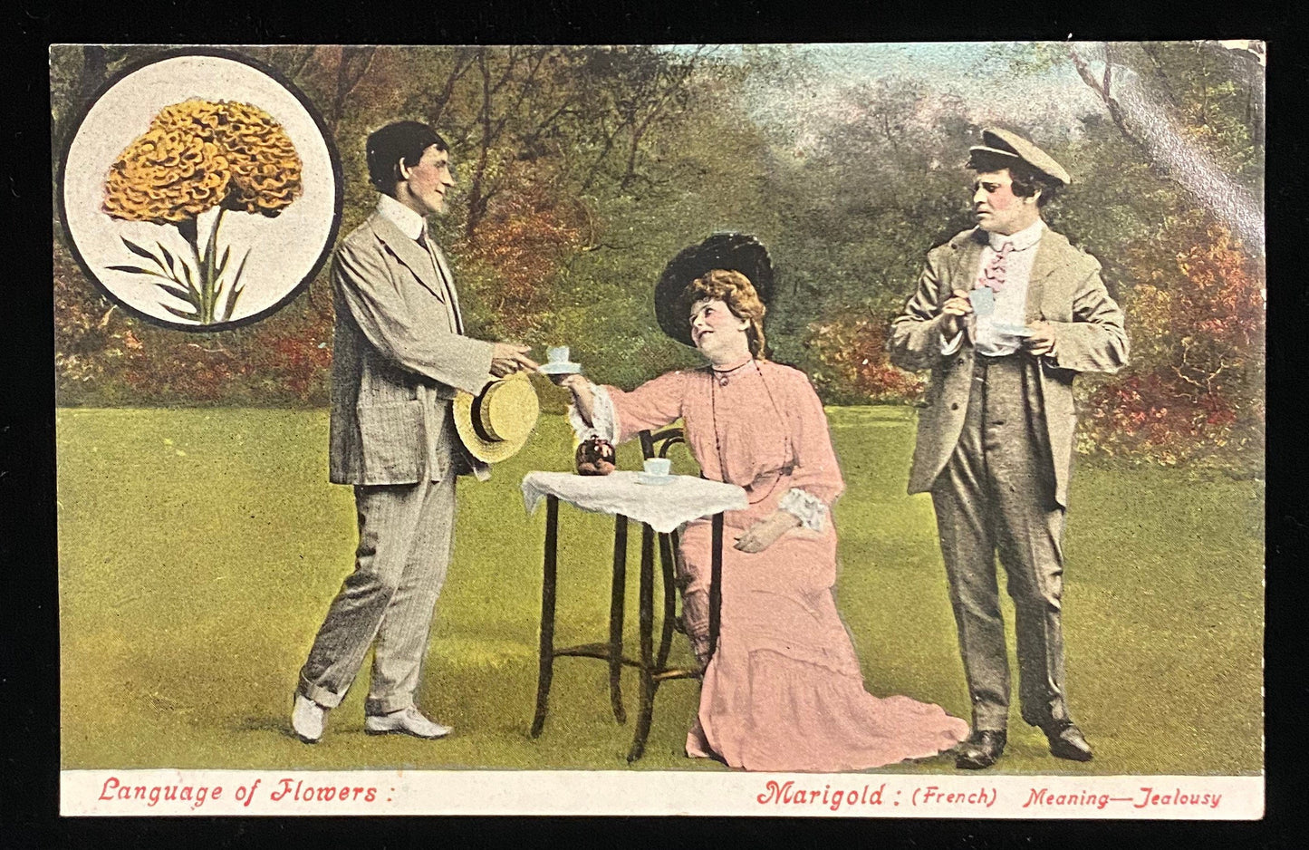 Language of Flowers: Marigold - French meaning Jealousy - Satrical Vintage Postcard