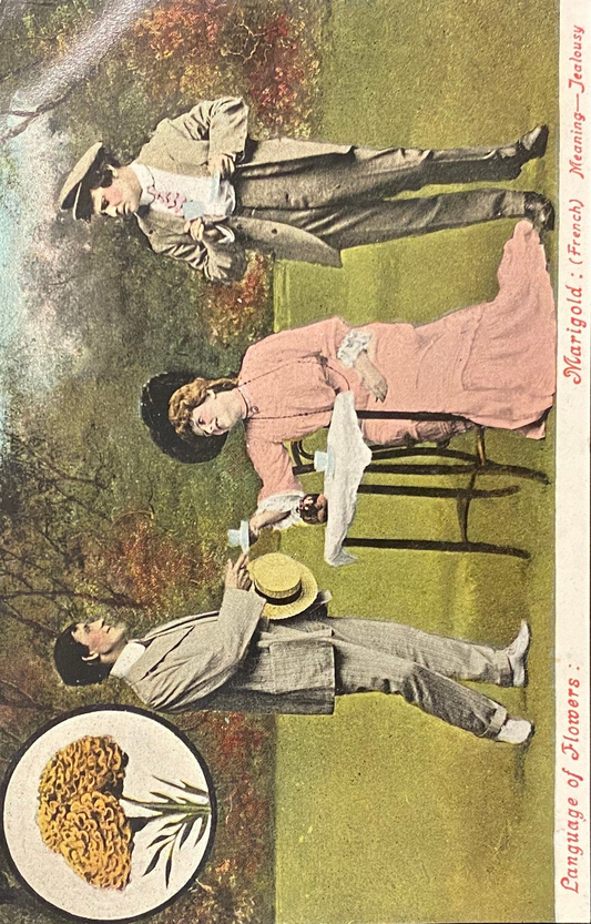 Language of Flowers: Marigold - French meaning Jealousy - Satrical Vintage Postcard
