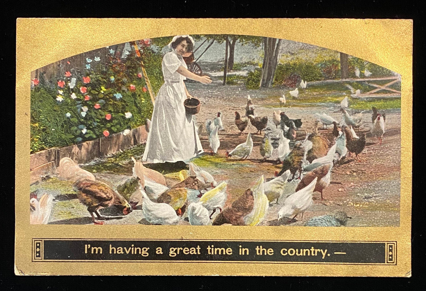 I'm having a great time in the country - Satirical Vintage Postcard