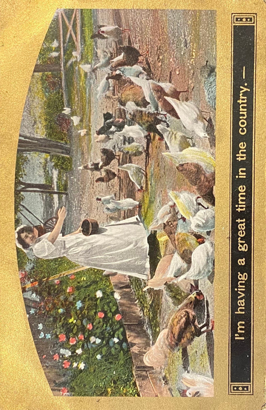 I'm having a great time in the country - Satirical Vintage Postcard