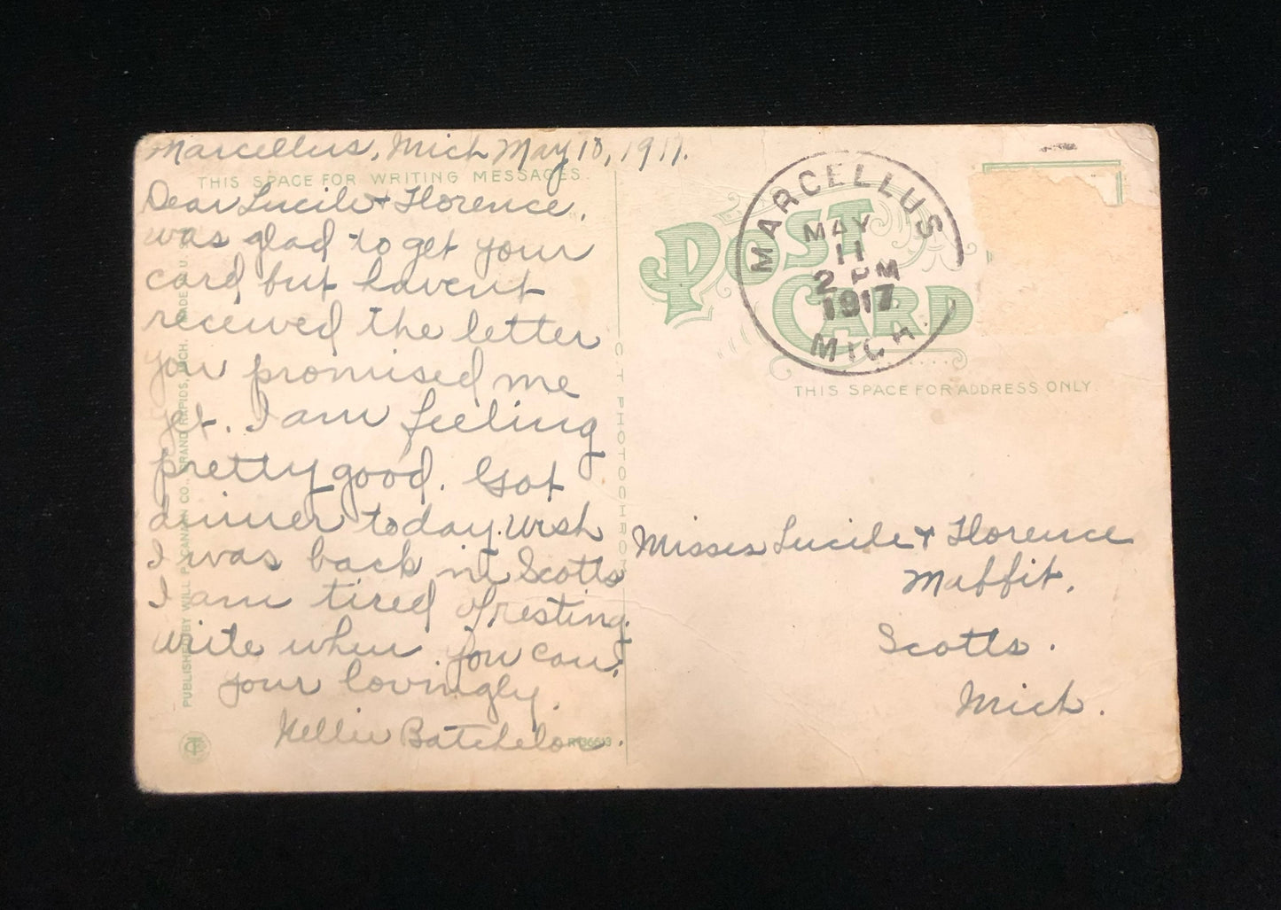 Pavilion, Belle Isle, Detroit Michigan - Vintage Postcard