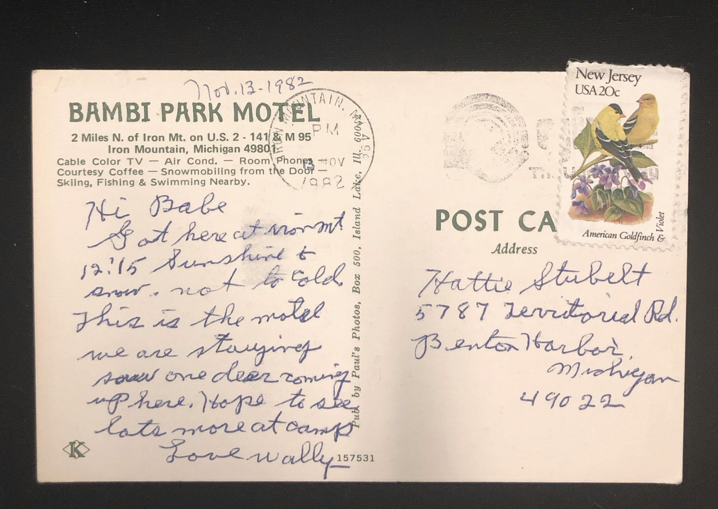 Bambi Park Motel Iron Mountain, Michigan - 1980's Vintage Postcard