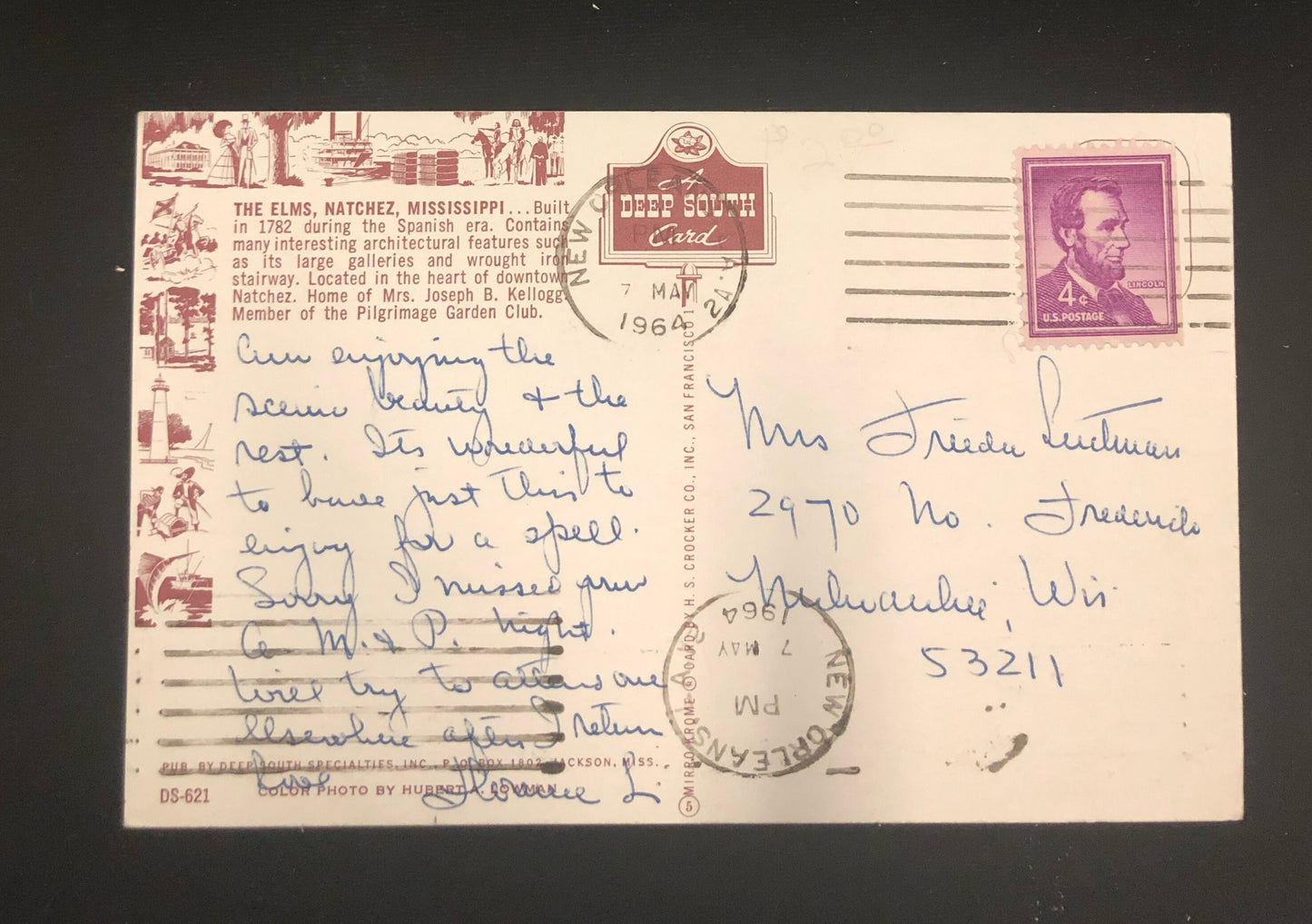 The Elm's Natchez, Mississippi Southern Belle - Vintage Postcard