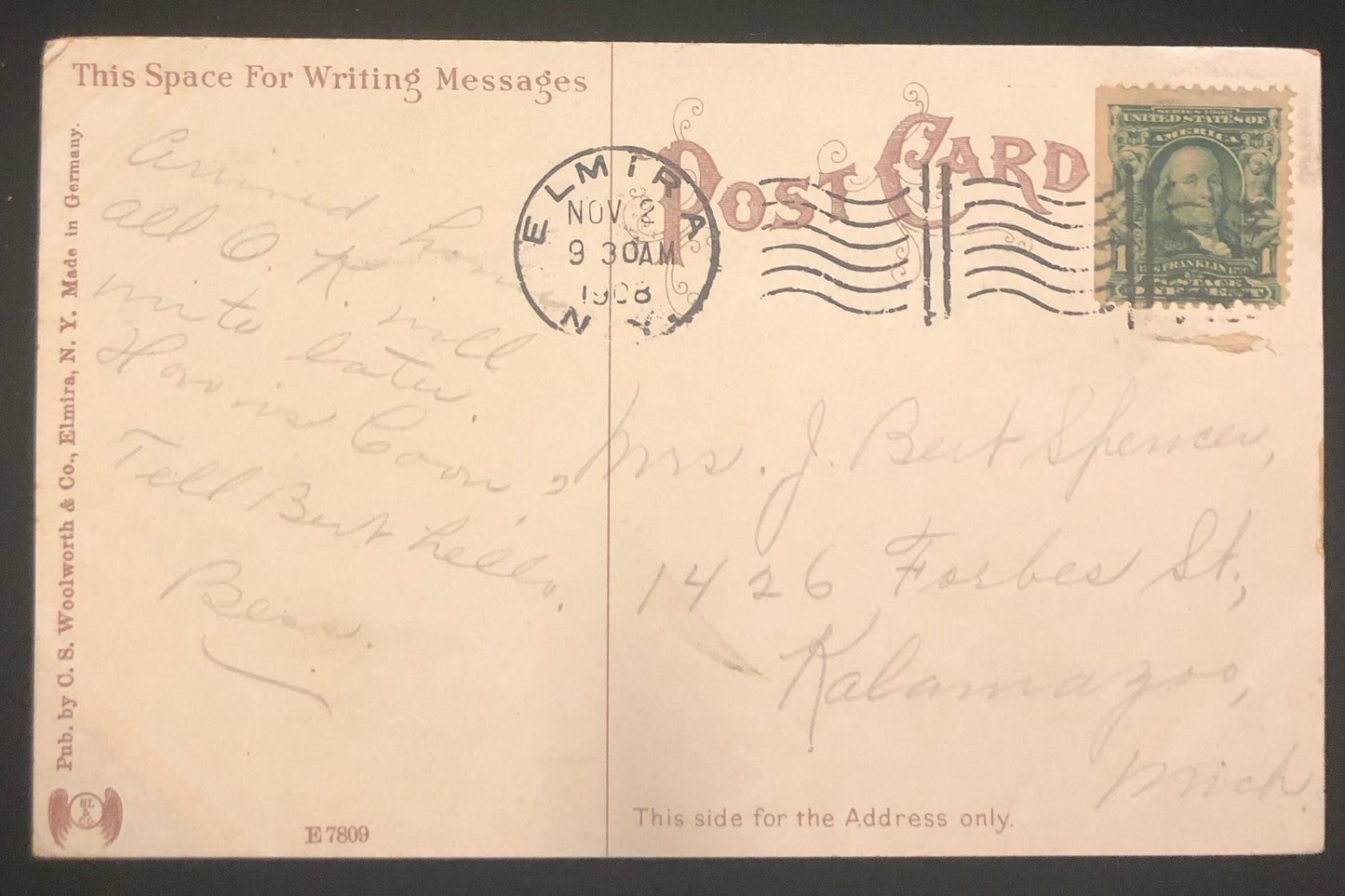 Elmira, N.Y. - The Fountain, Brand Park - 1908 Postcard