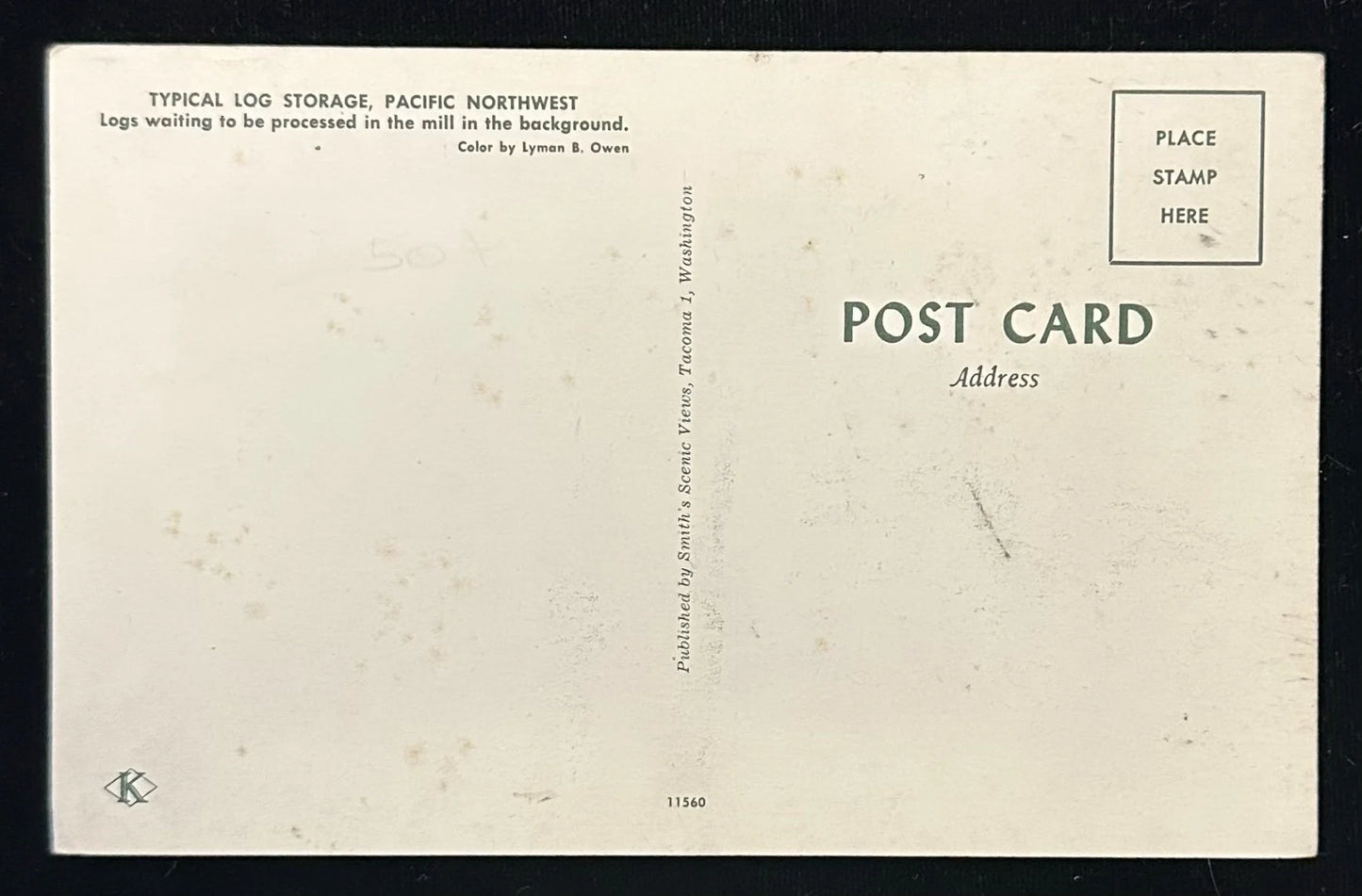 Washington "Tooth Picks" - Vintage Postcard