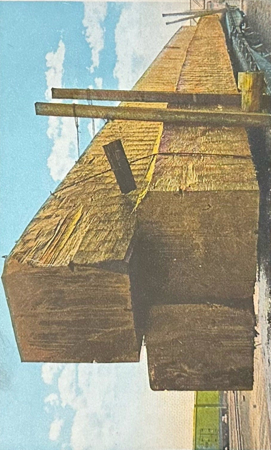 Washington "Tooth Picks" Lumber Railroad Car - Vintage 1930s Postcard