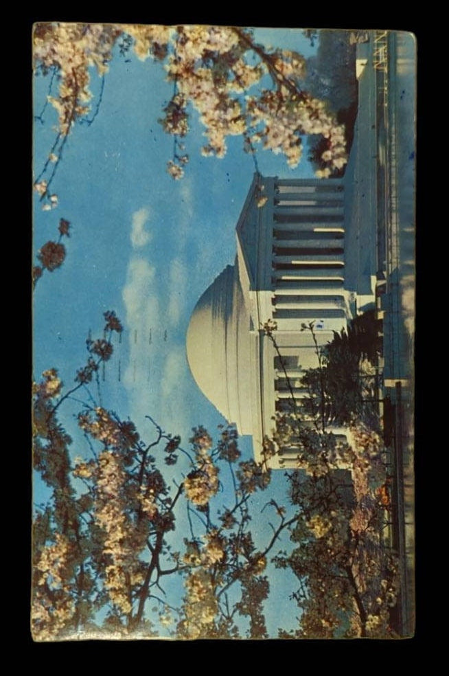 The Jefferson Memorial at Cherry Blossom Time, Washington D.C., Maryland - Vintage 1950s Postcard