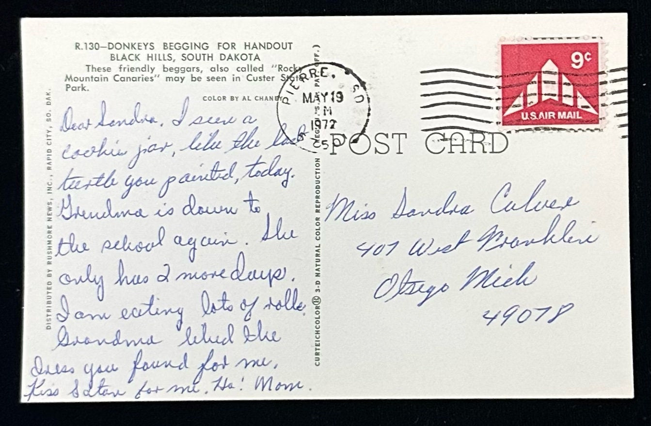 R. 130 - Donkeys Begging for Handout Black Hills, South Dakota - Vintage Automobiles Vintage Postcard