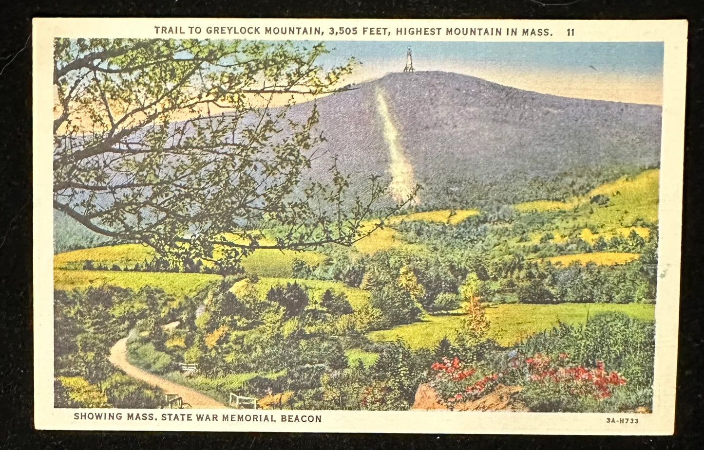 Trail to Greylock Mountain, 3,508 feet, Highest Mountain in Massachusetts - Showing Mass, State War Memorial Beacon - Linen Vintage Postcard