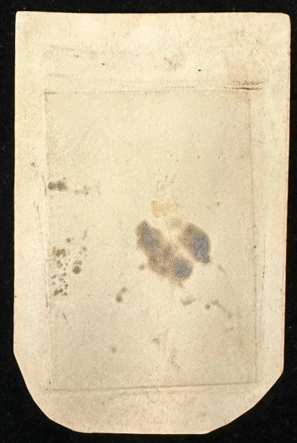 Vintage Tintype Photograph of Young Girl in the Late 1800s