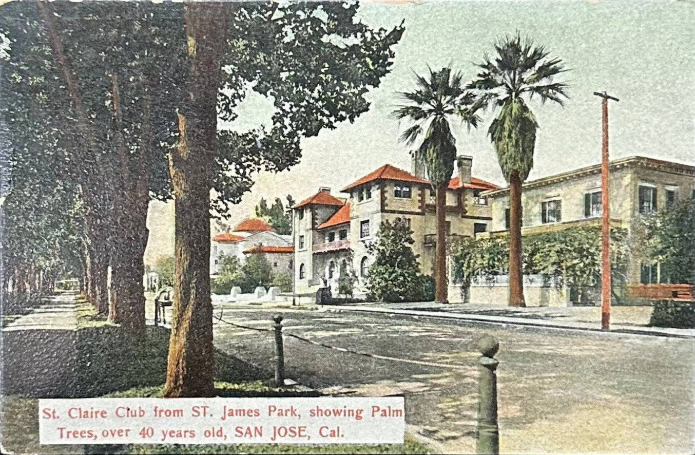 St. Claire Club from ST. James Park - Showing Palm Trees - Over 40 years old - SAN JOSE, Cal. - Vintage Postcard