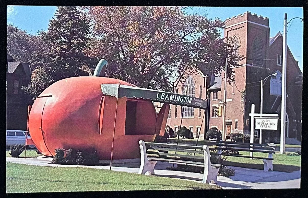 World’s Largest Tomato Leamington, Ontario, Canada - International Vintage Postcard