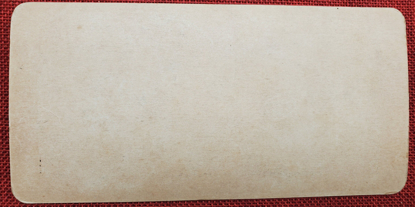 Skating on the River - Vintage Stereo View Card - 1910s