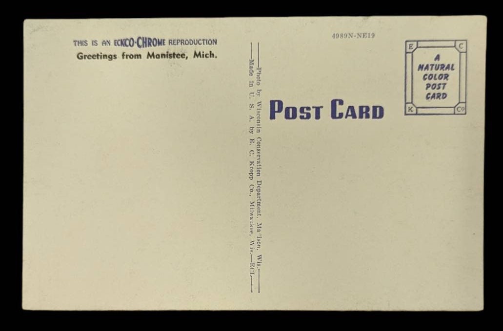 Greetings from Manistee, Michigan - Vintage Postcard