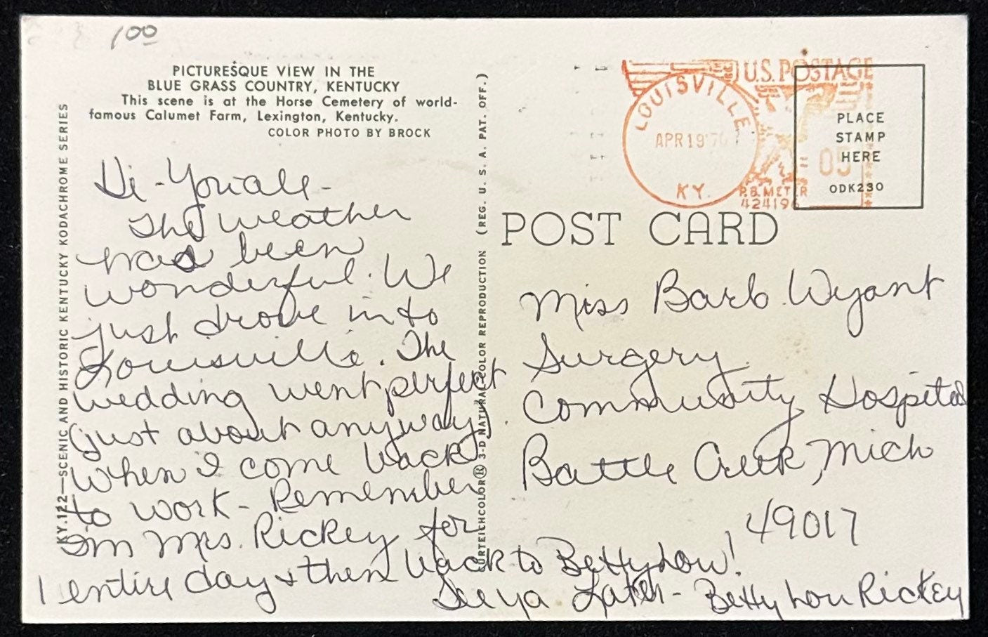 Scene at Horse Cemetery - Lexington, Kentucky - 1970s Postcard