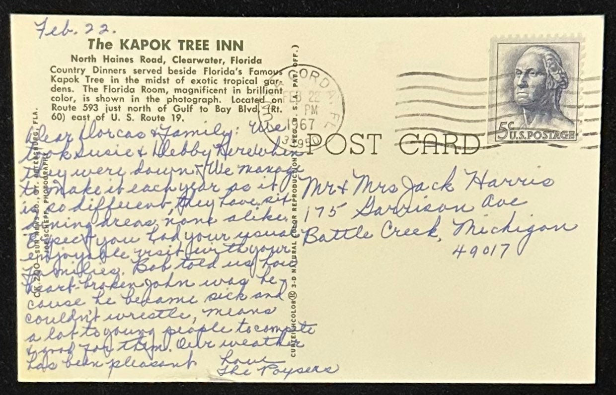 The Kapok Tree Inn - Clearwater, Florida - Vintage Postcard
